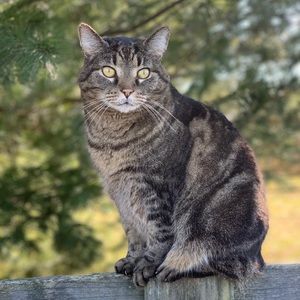 Meet your Posher, Julia